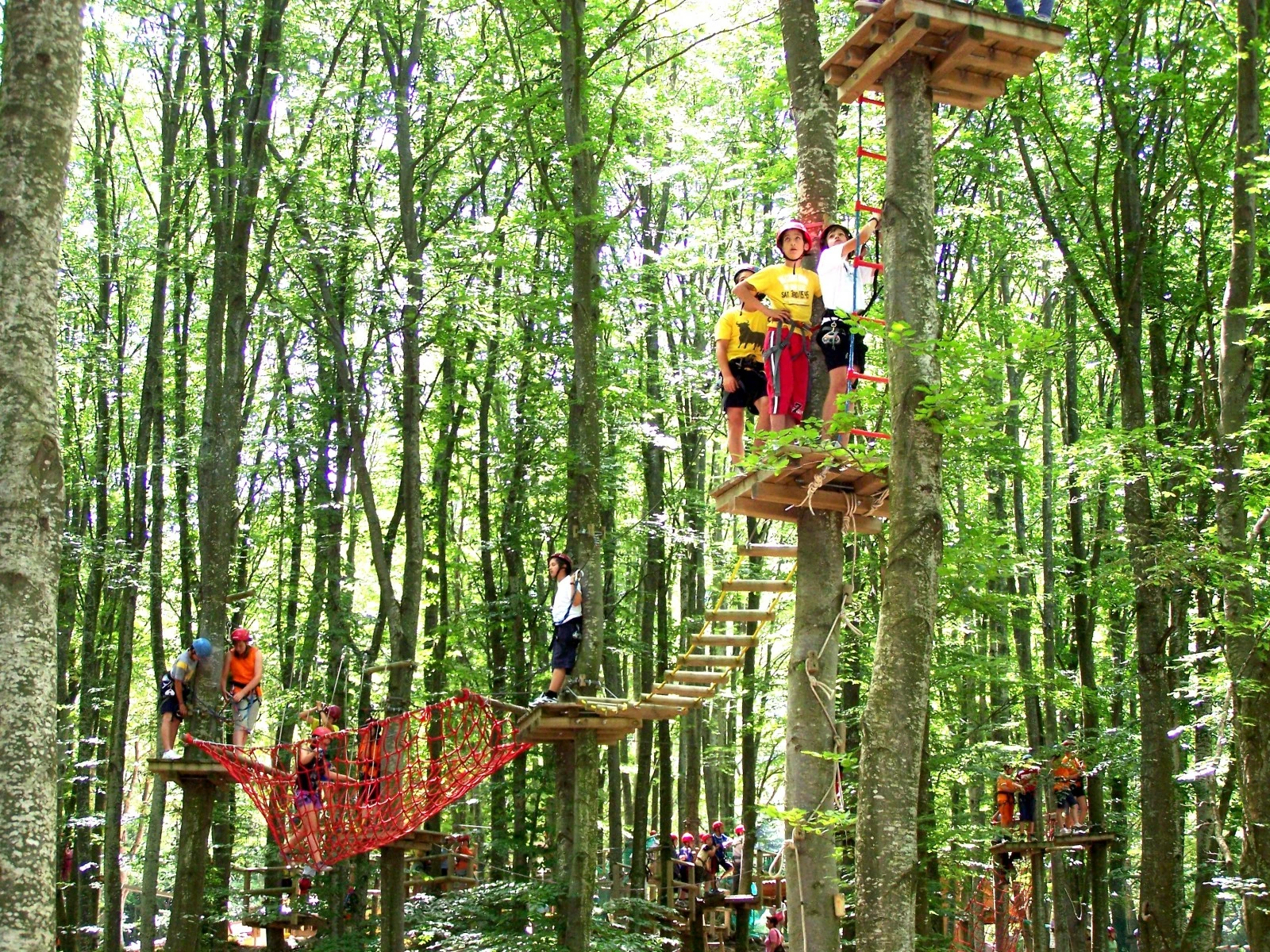 Cerwood Adventure Park