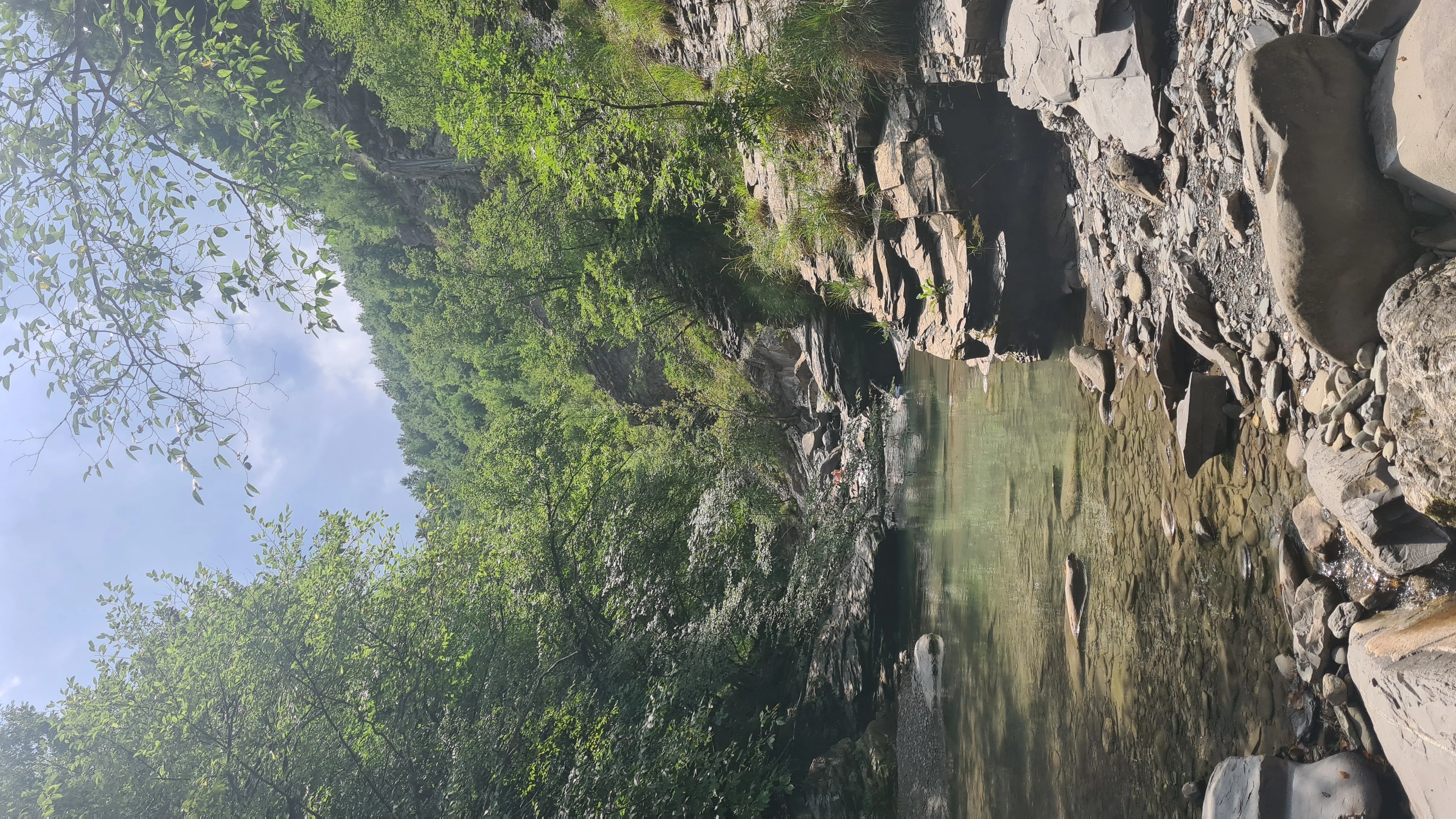River Swimming — Enza Valley