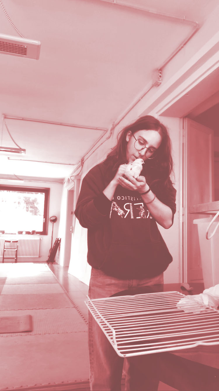 Michela’s Internship